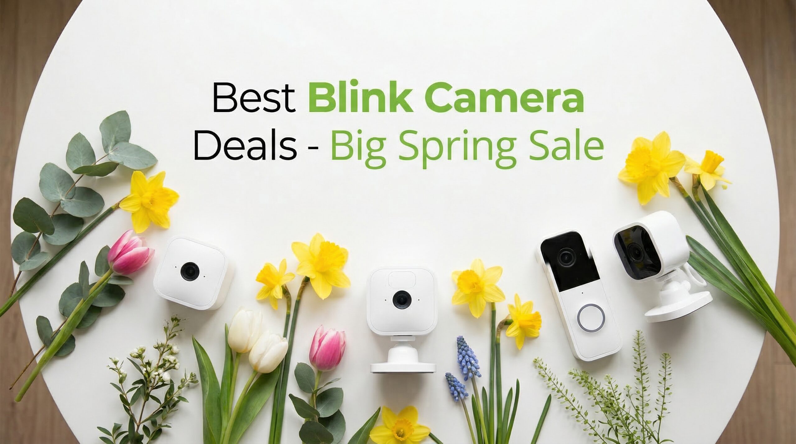 Best Big Spring Sale Blink Camera Deals on Amazon