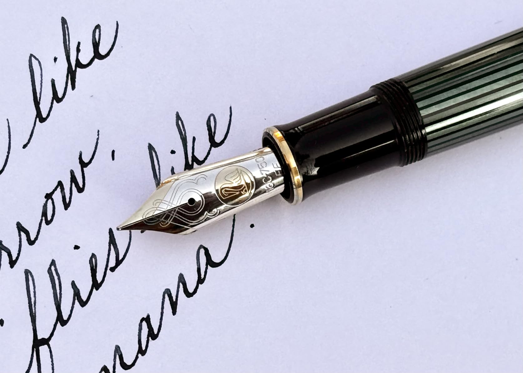 Pelikan Premium M1000 Fountain Pen EF customer photo 1