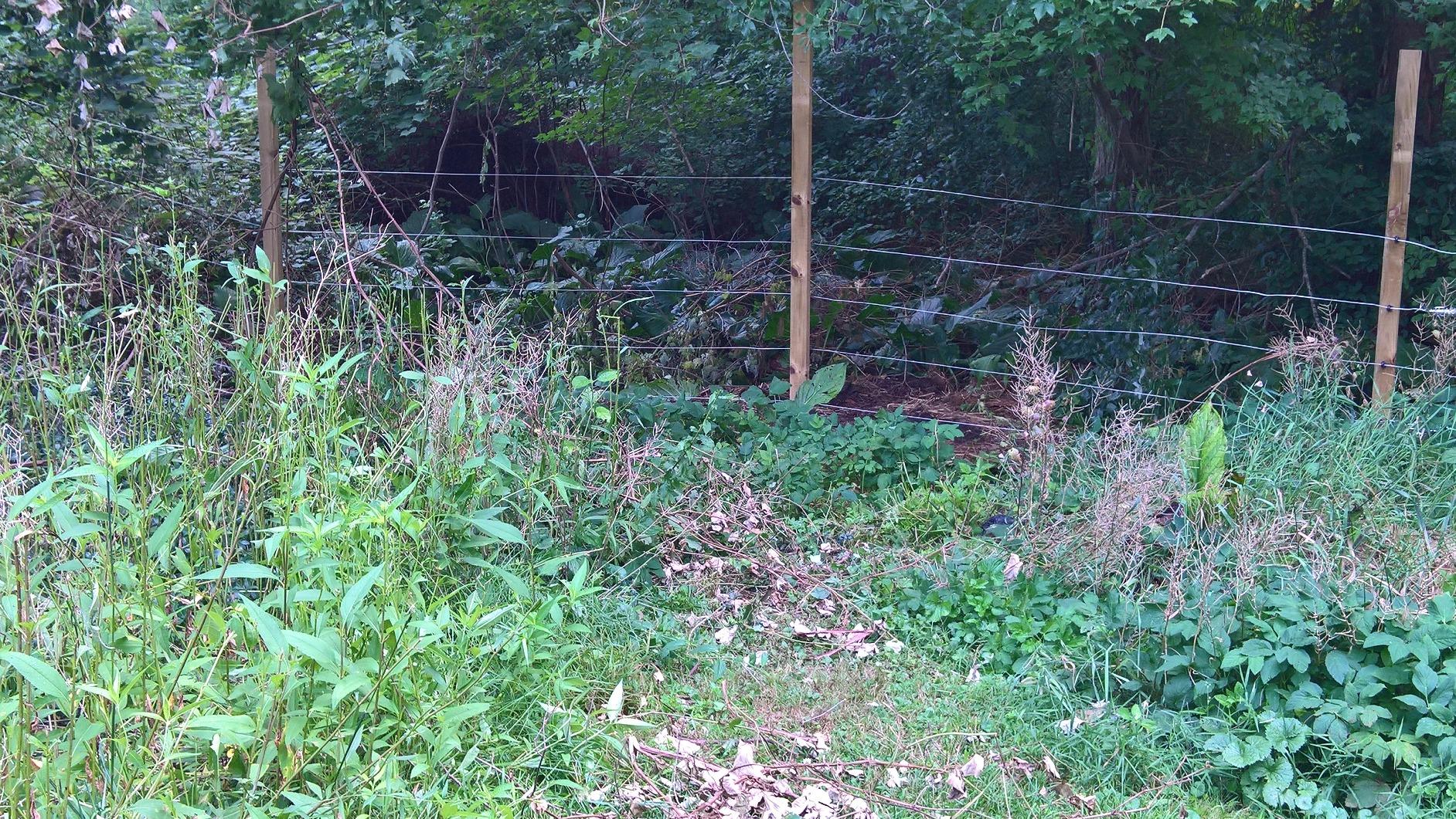 Parmak SE5 504564 Super Energizer 5 Low Impedance, Multi customer photo 1