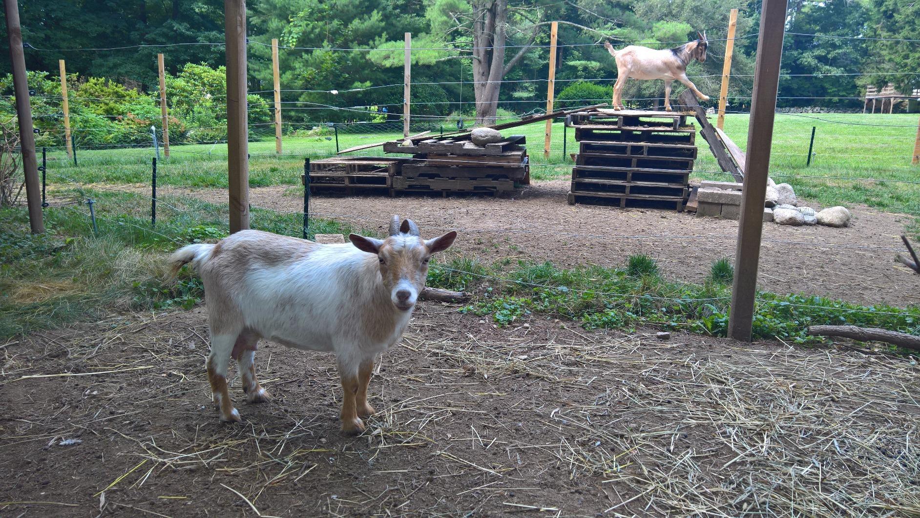 Parmak SE5 504564 Super Energizer 5 Low Impedance, Multi customer photo 2