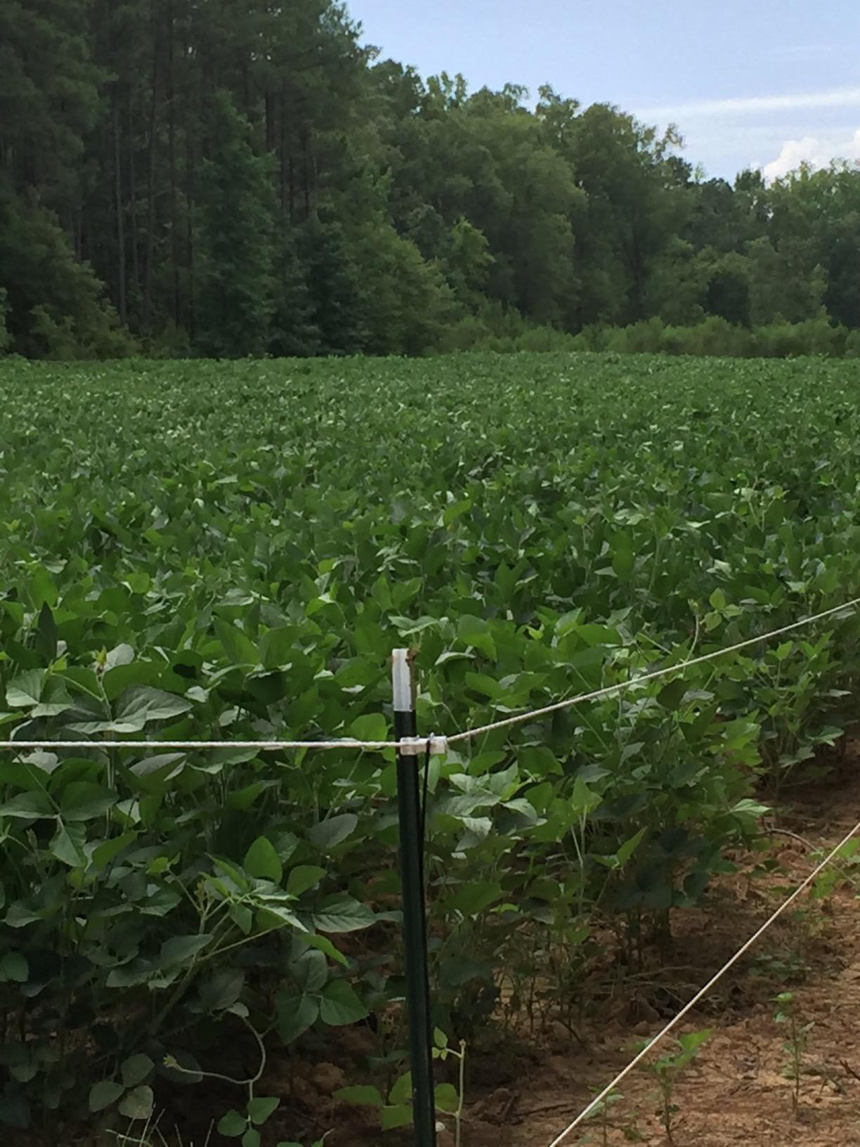 Parmak Magnum Solar-Pak 12 Low Impedance 12 Volt Battery Operated 30 Mile Range Electric Fence Charger MAG12-SP customer photo 2