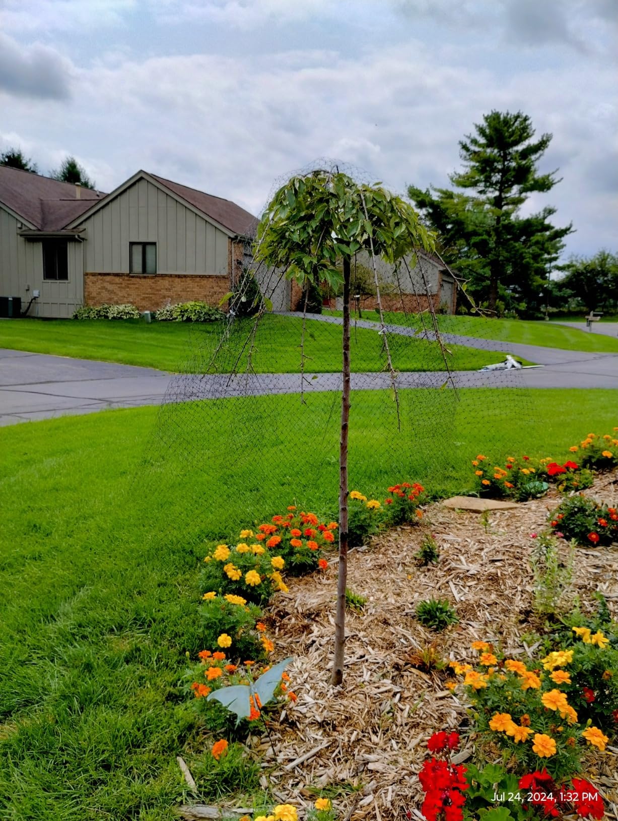 Dalen Deer X Protective Netting for Gardens and Landscapes - 7' x 100' - Strong and Durable 3/4