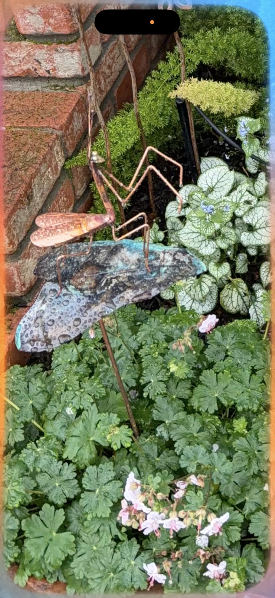 Modern Artisans Copper Praying Mantis Garden Sculpture & Stake, American Made customer photo 2