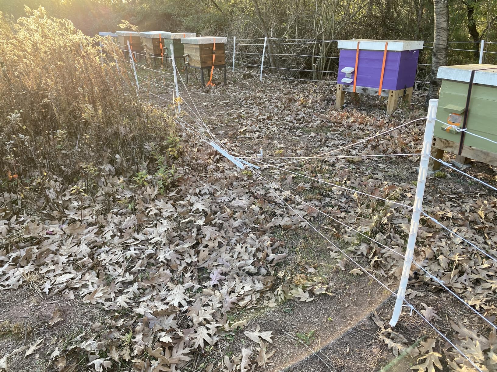 Parmak DF-SP-LI Electric Fencer, Natural customer photo 1