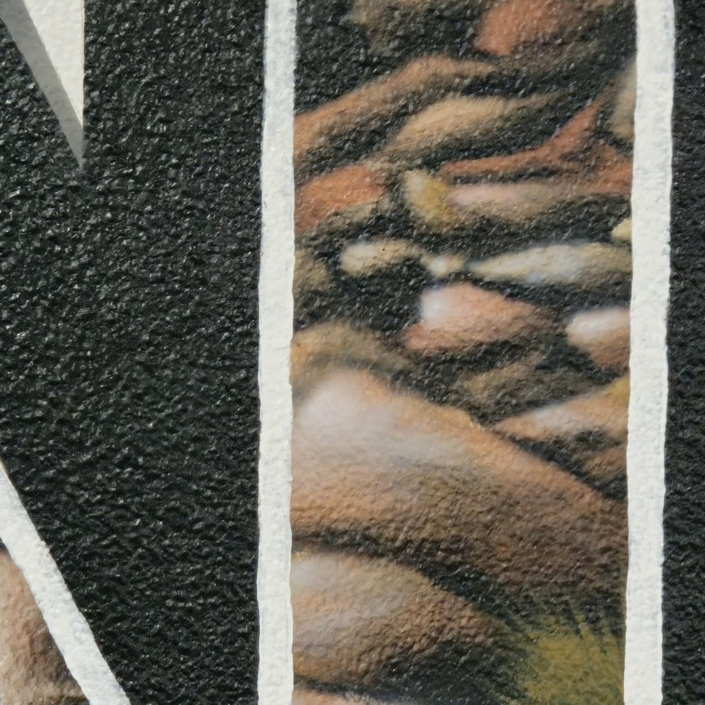 Iwata-Medea Eclipse HP CS Airbrush Set with Cool Runner II Dual Fan Air Tank Compressor System Kit, 12 Color Acrylic Airbrush Paint Artist Set, Hose, Holder, Cleaning Pot, Mixing Cups, How-to Guide customer photo 1