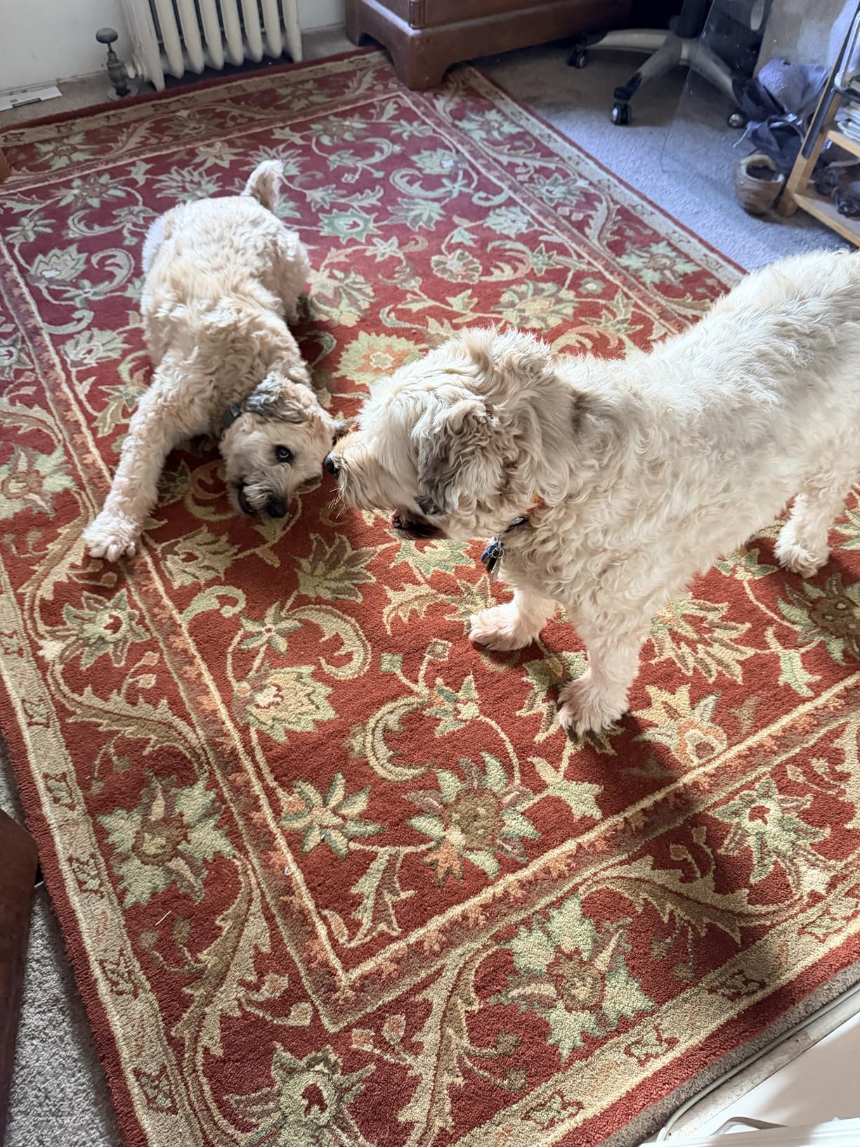 Antiquity Collection 6' x 9' Olive / Gold AT52A Handmade Traditional Oriental Premium Wool Area Rug customer photo 2