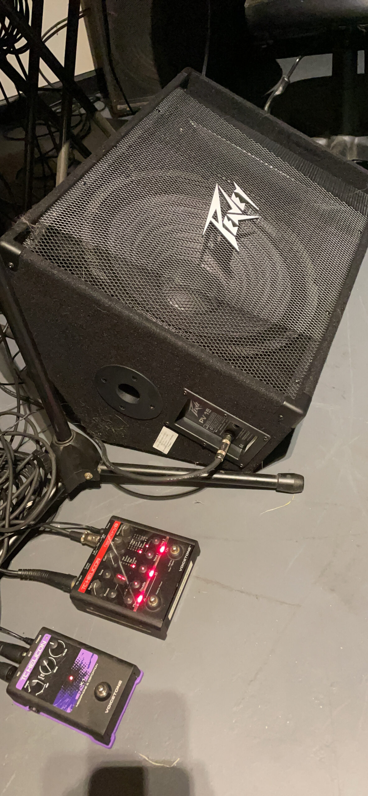 Peavey PV 12M 2-Way Floor Monitor customer photo 1