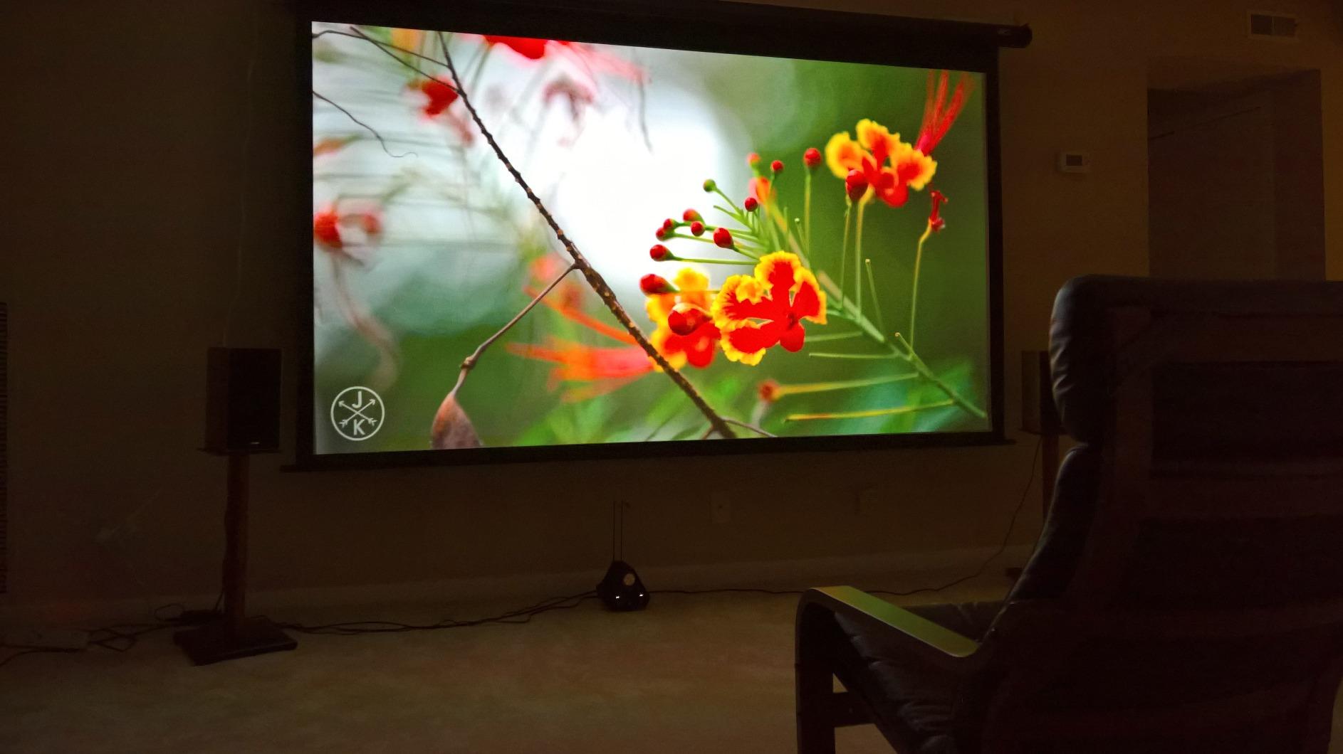 Elite Screens Spectrum 128-Inch Electric Motorized Projector Screen 16:10, 4K/8K UHD, Drop Down Screen for Classroom & Office, IR/RF Remote, Wall/Ceiling Mount, Black Case customer photo 2