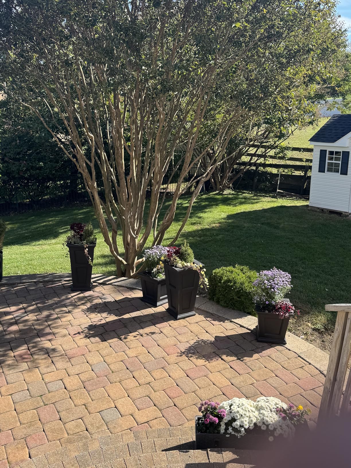 Mayne Fairfield 28-Inch Tall Planter - Self-Watering, Weather-Resistant Planter for Flowers customer photo 1