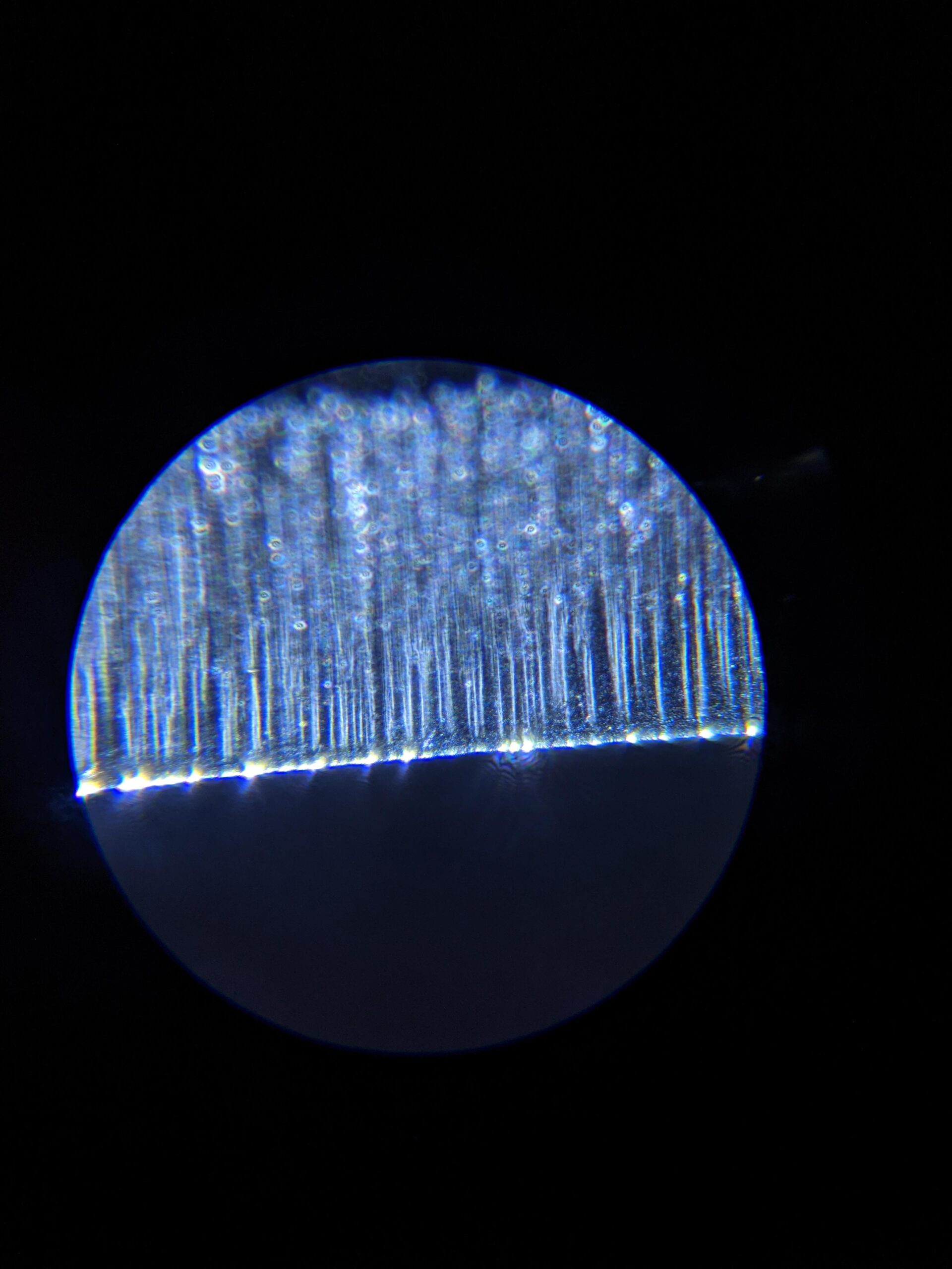 Wusthof Classic Seven Piece Knife Block Set | 7-Piece German Knife Set | Precision Forged High Carbon Stainless Steel Kitchen Knife Set with 15 Slot Wood Block - Model 7417 customer photo 2