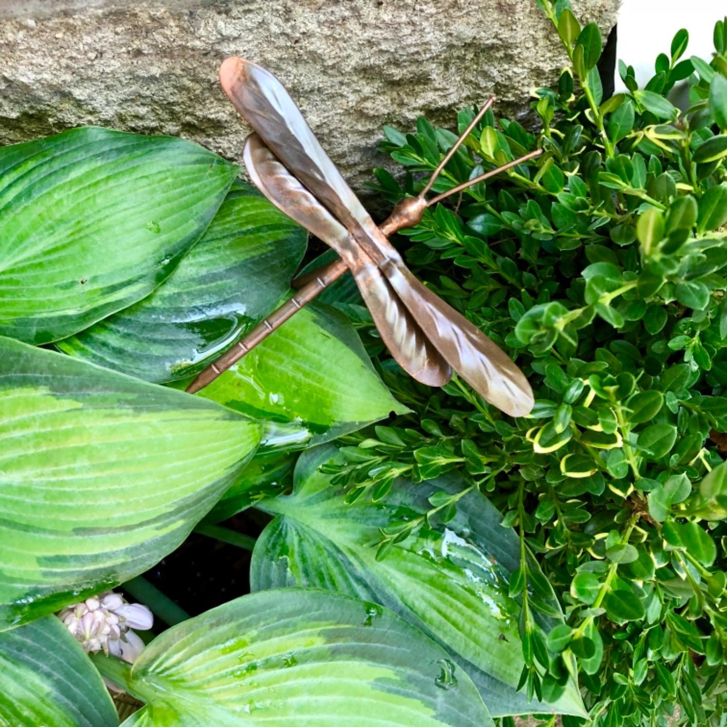 Ancient Graffiti Flamed Copper Hummingbird Garden Ornament customer photo 1