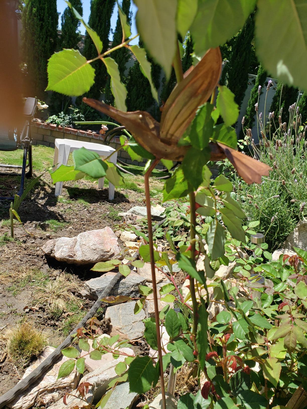 Ancient Graffiti Flamed Copper Hummingbird Garden Ornament customer photo 2