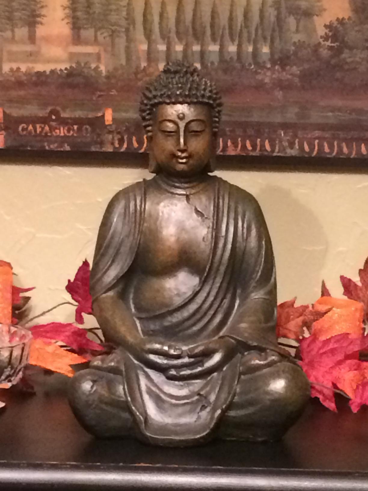 Alpine Corporation 15