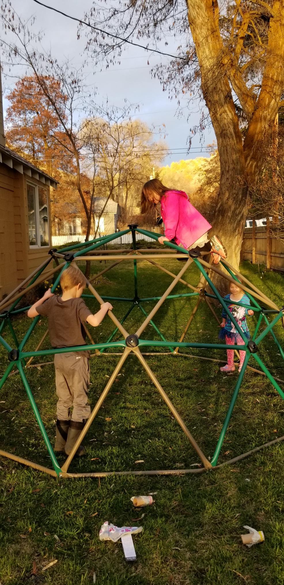 Lifetime Geometric Dome Climber Play Center, Earthtone, Steel Construction customer photo 1