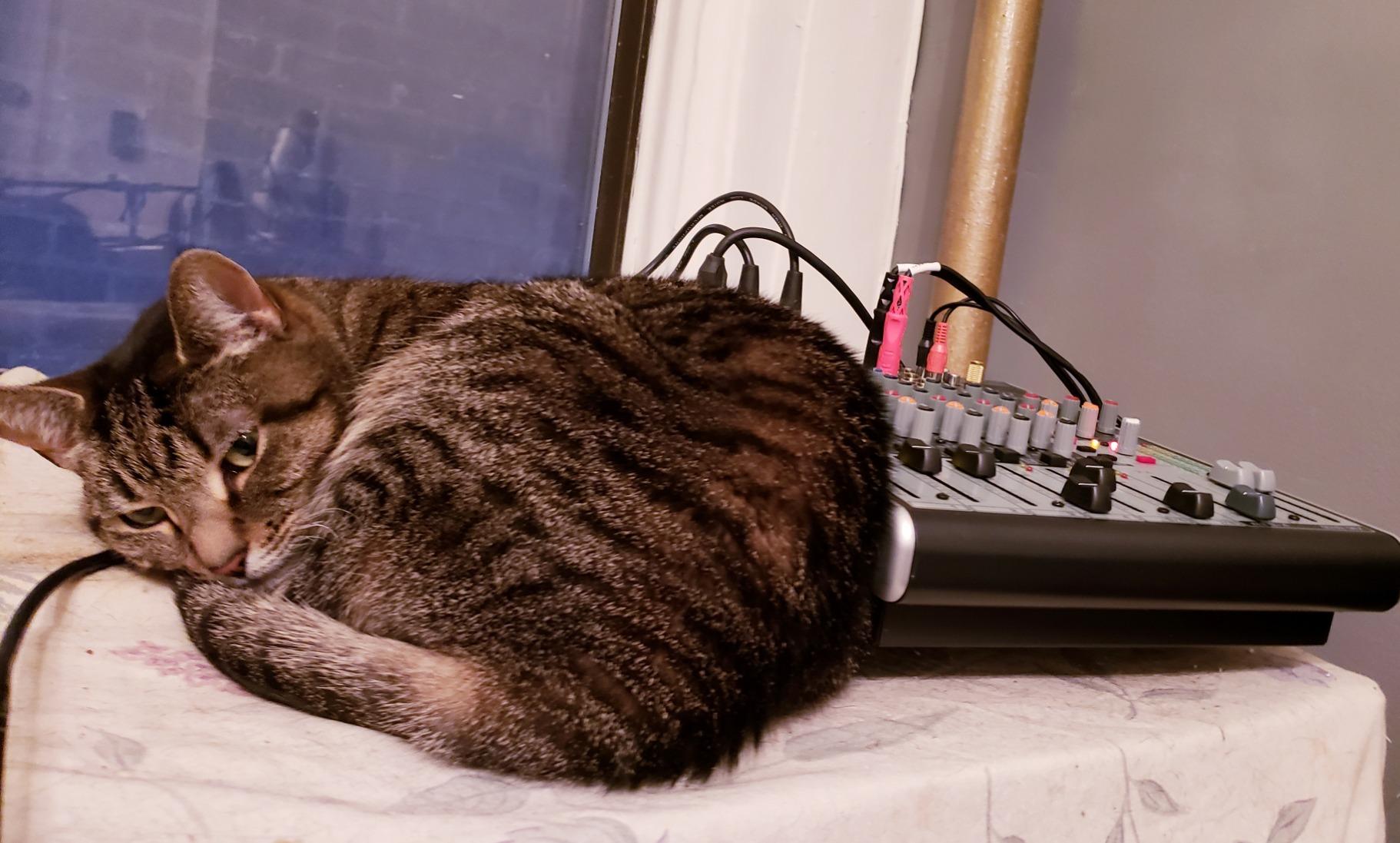 Behringer XENYX 1204USB Premium 12-Input 2/2-Bus Mixer with XENYX Mic Preamps and Compressors, British EQ and USB/Audio Interface customer photo 1