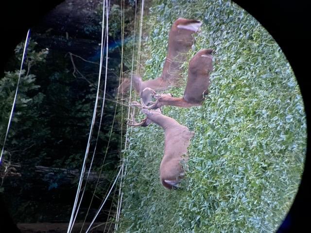 Vortex Razor HD Spotting Scope customer photo 1