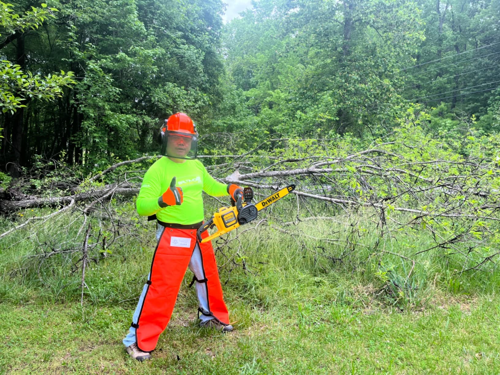 Forester Protective Clothing - OEM Forestry Cutter Combo Kit Apron Chaps Helmet Face Shield Ear Muffs Safety Glasses Arborist Equipment Chainsaw Pants Logging Tools customer photo 1