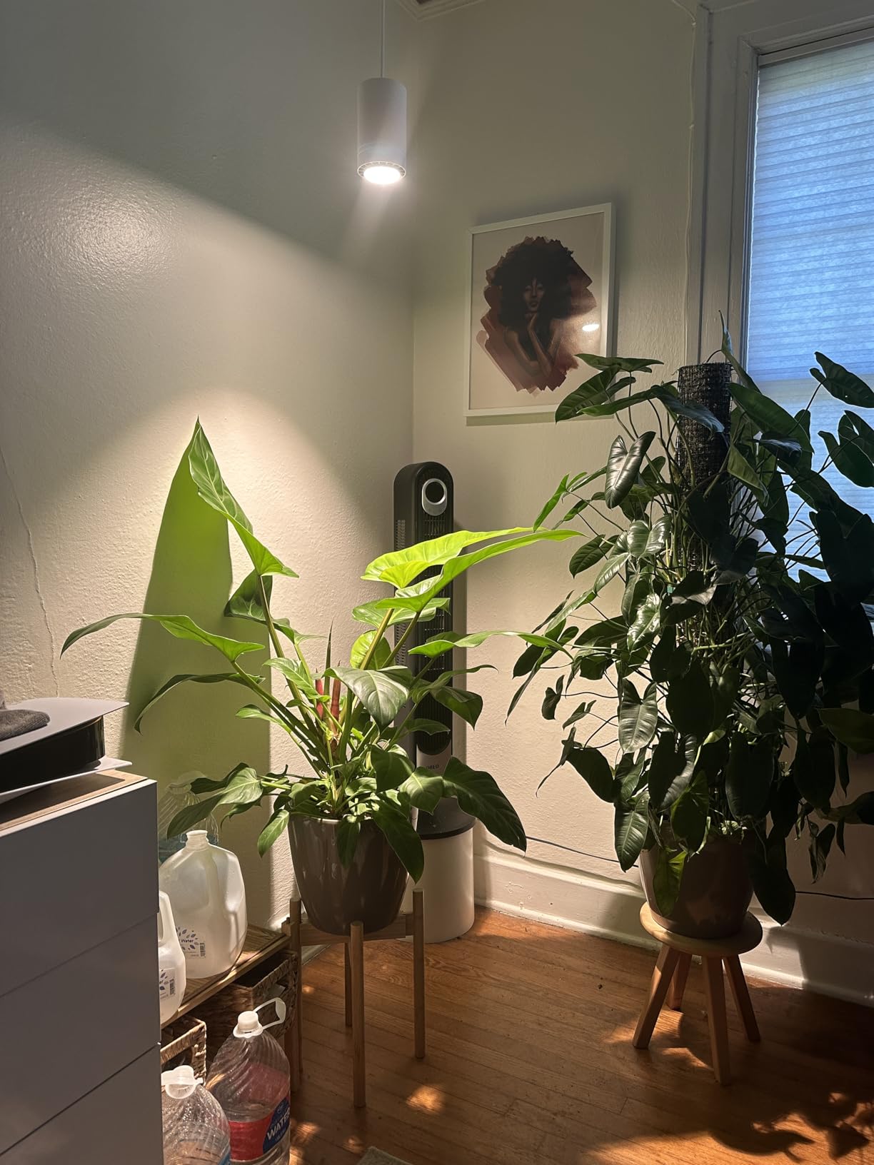 Lechuza Classico 21 LS Self-Watering Round Planter - White High-Gloss customer photo 1