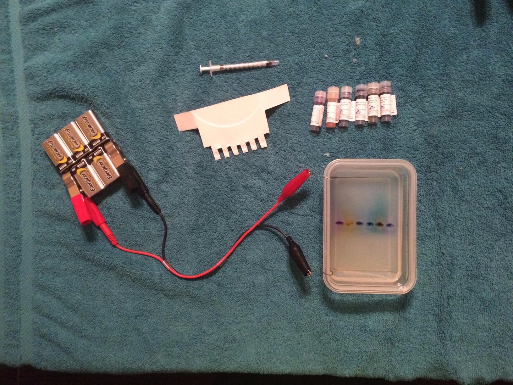 3B Scientific W56628 Electrophoresis Agarose Gel Separation of Dyes Kit customer photo 1