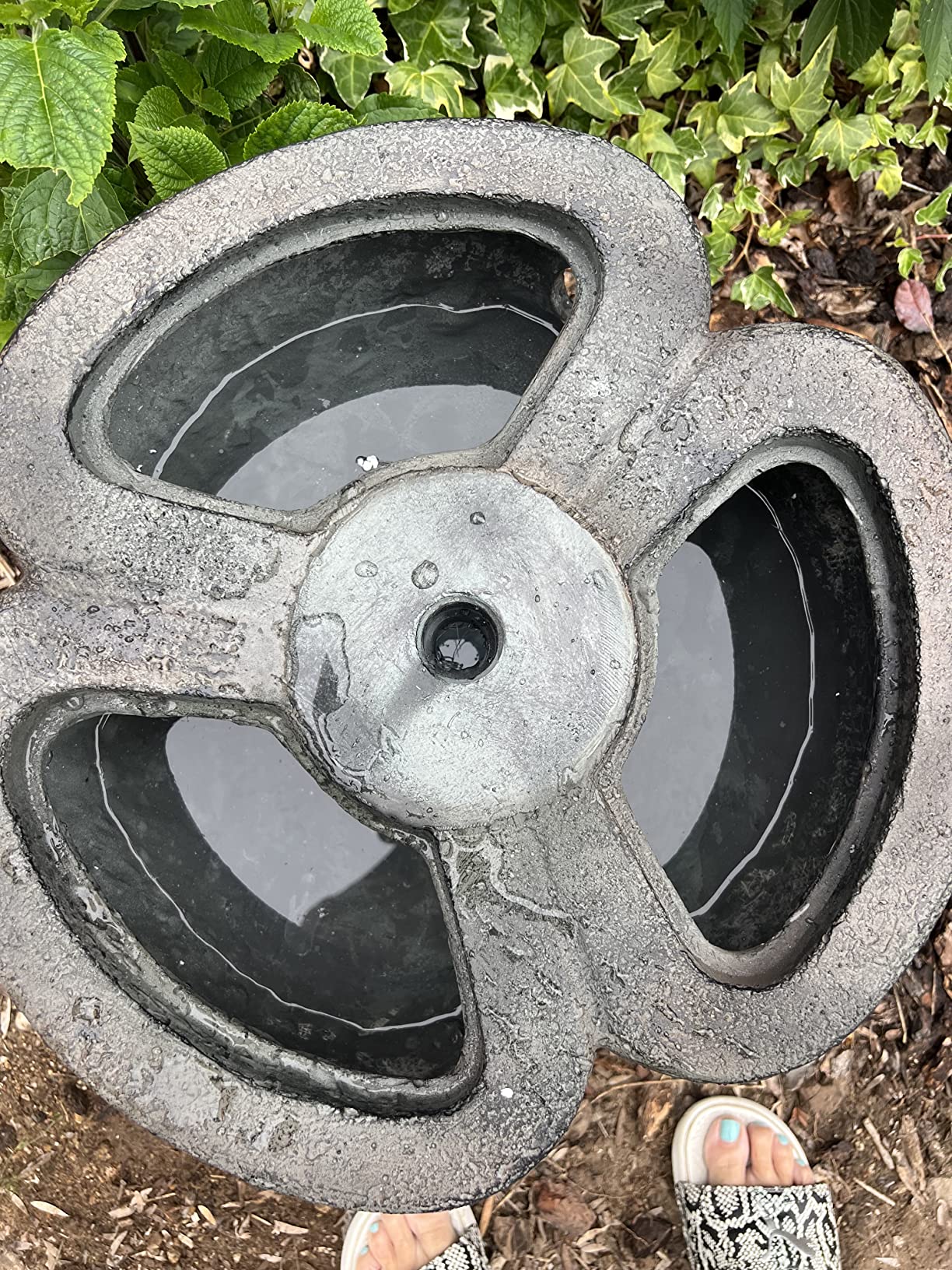 Outdoor Fountain - Polyresin 2-Tier Water Feature with Lion Head Details and Realistic Stone Appearance - Yard Art with Soothing Sound by Pure Garden customer photo 2