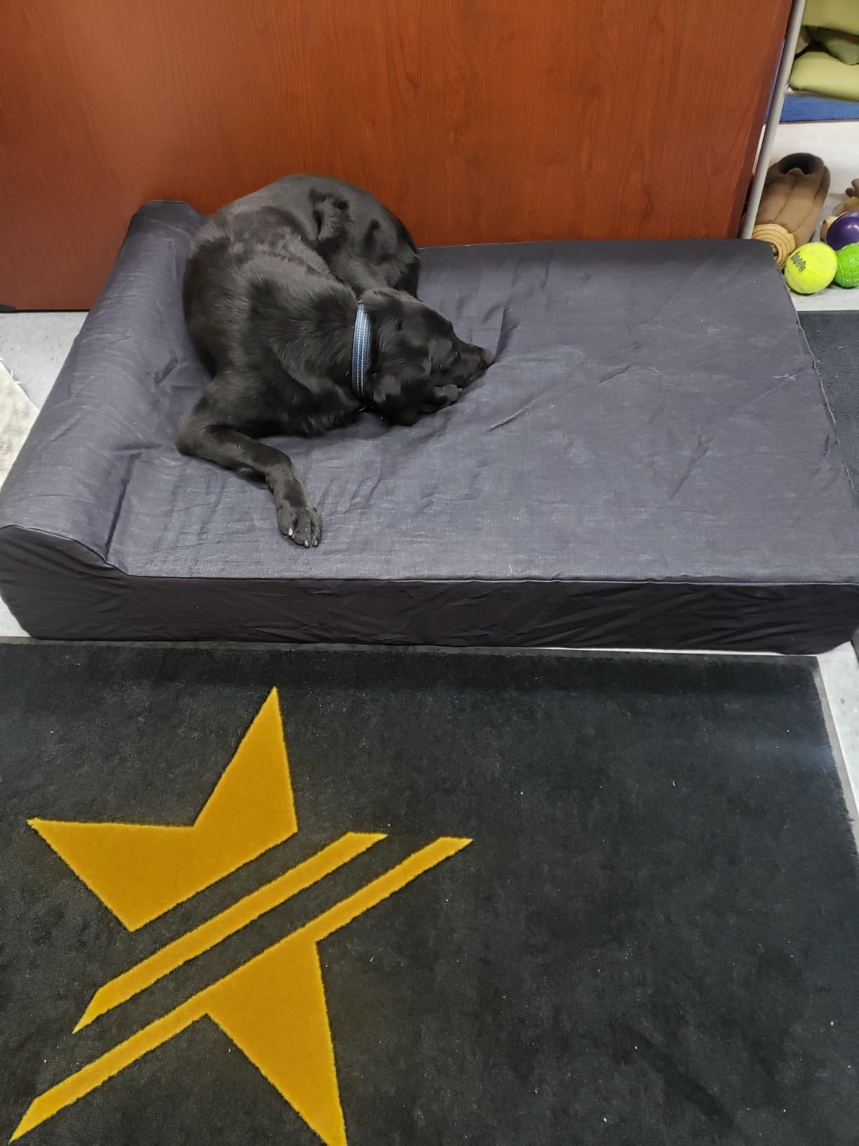 XXXL-Large Luxury 7 inch Gel Memory Foam Orthopedic Dog Bed with Bolster | 100% USA Made with Certi-Pur Non-Toxic Foams | Engineered for Large Breed Dogs Provide Support & Comfort customer photo 2