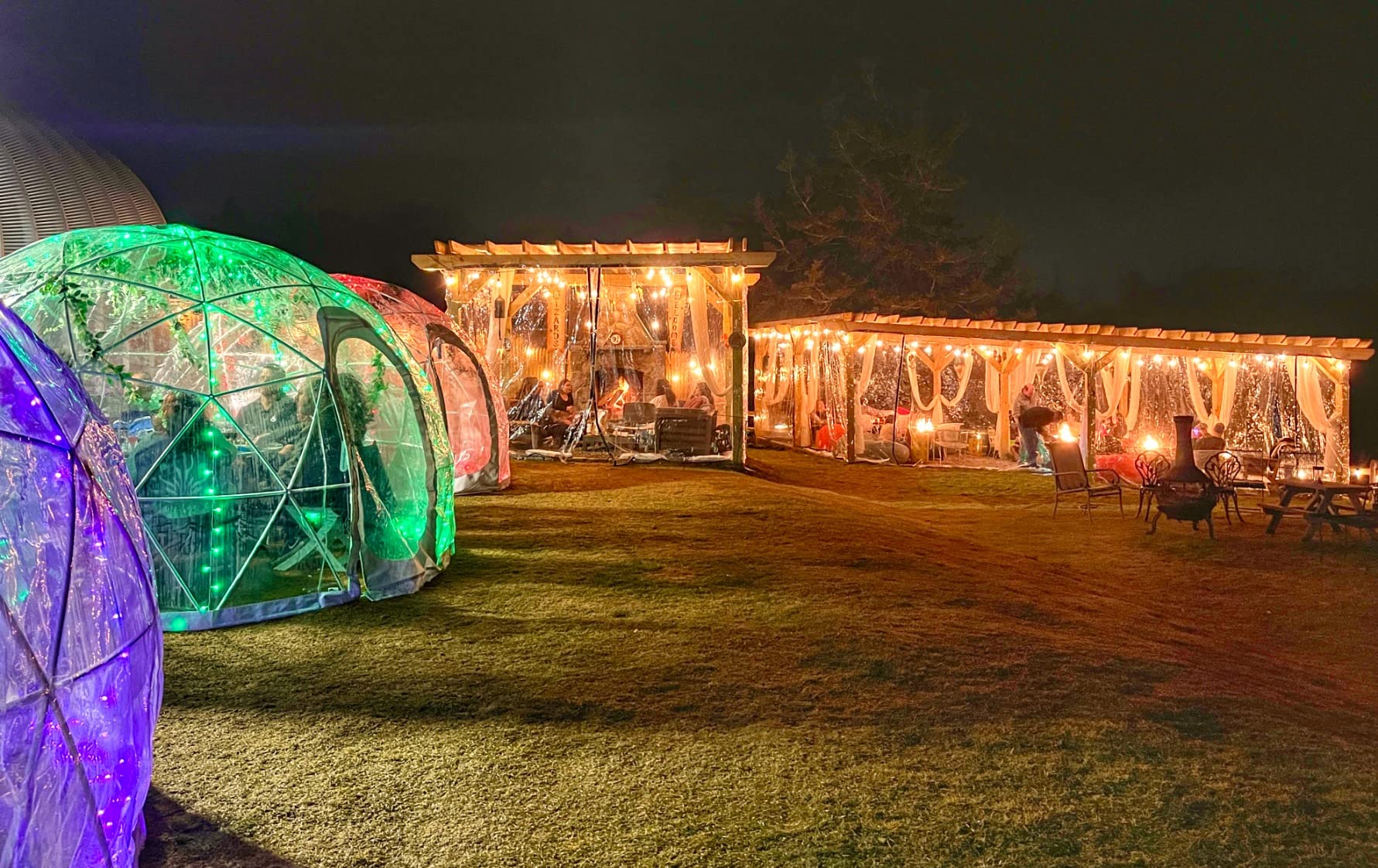 Garden Igloo - Improved Version V2 - 12' Walk-in Garden Dome Igloo customer photo 1