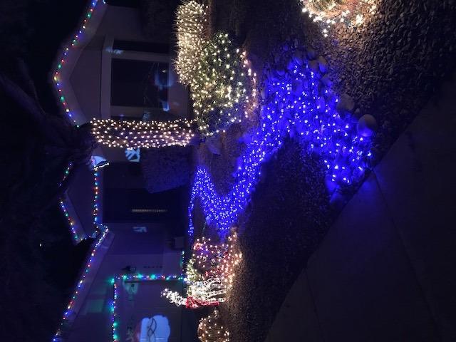 Christmas Light Controller - 16 Dazzling Flash/Fade Functions, 5 Timer Functions, Full Function Remote customer photo 1