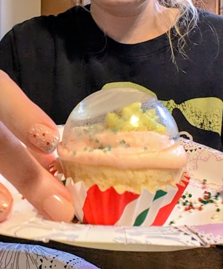 LorAnn Oils Isomalt Sugar Substitute (Granular) - Sugar Substitute for Baking, 1 lb - Isomalt Ready To Use - Clear & Non-Crystallizing, Formulated For Decorative Accents & Sugar Art - 1 Lb Bag customer photo 1