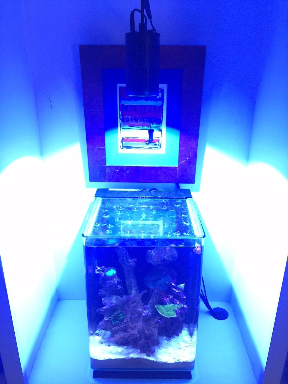 A160WE Controllable LED Aquarium Light, Tuna Blue customer photo 1