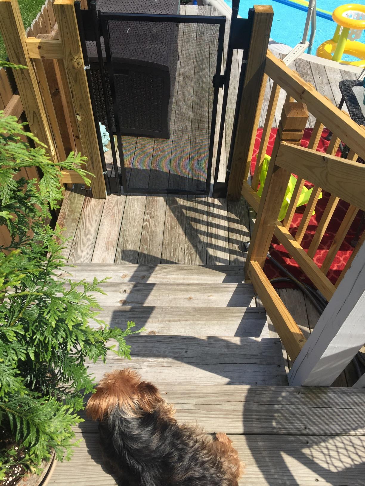 Life Saver Pool Fence GATE48R-DIYc DIY Removable Mesh Safety Fence for Pools, Brown customer photo 1