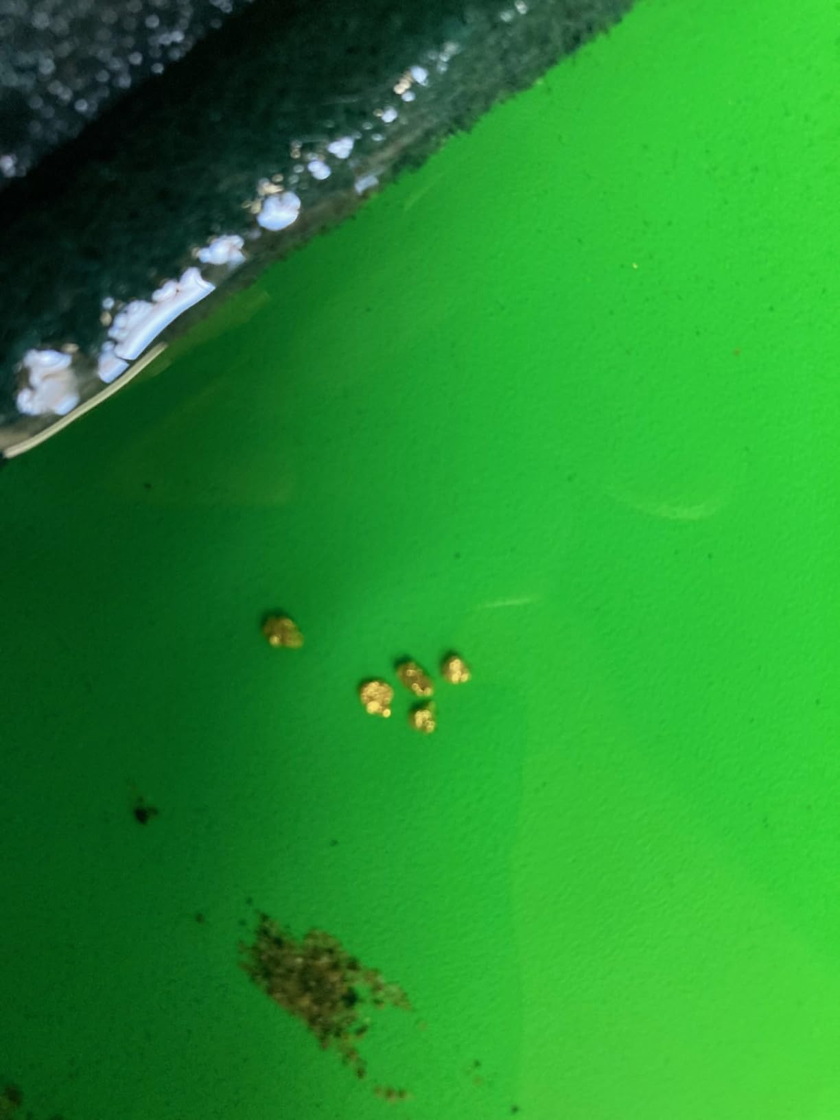 Miller Table, Fine Gold Recovery customer photo 1