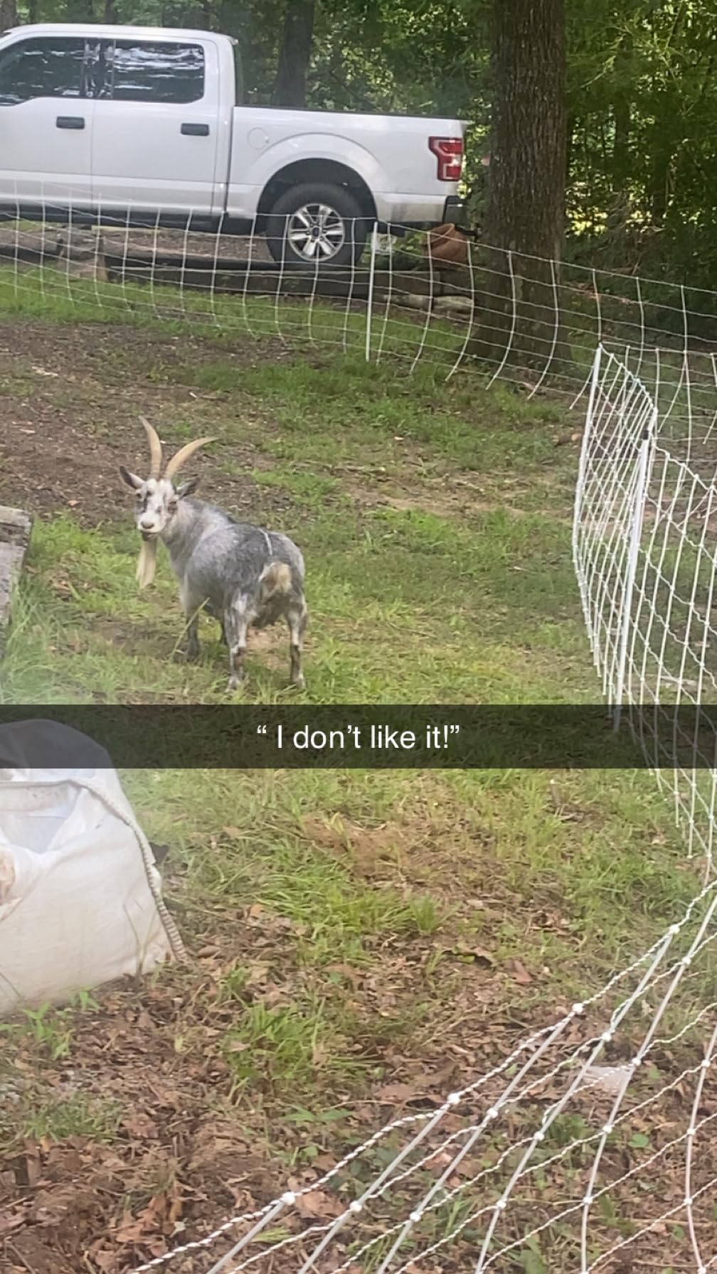 Premier 1 ElectroNet 35