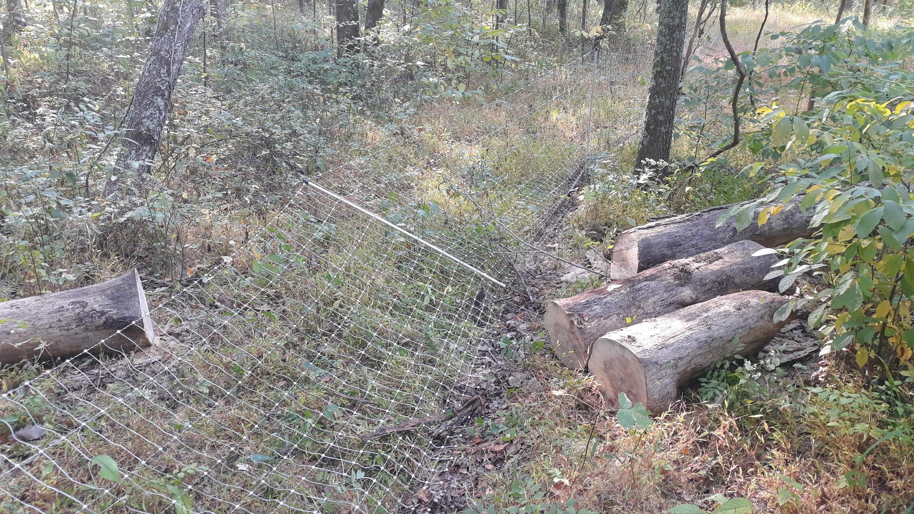 Premier 1 PoultryNet | Electric Fence for Backyard Chickens, Ducks, Turkeys with Step-in Posts customer photo 1