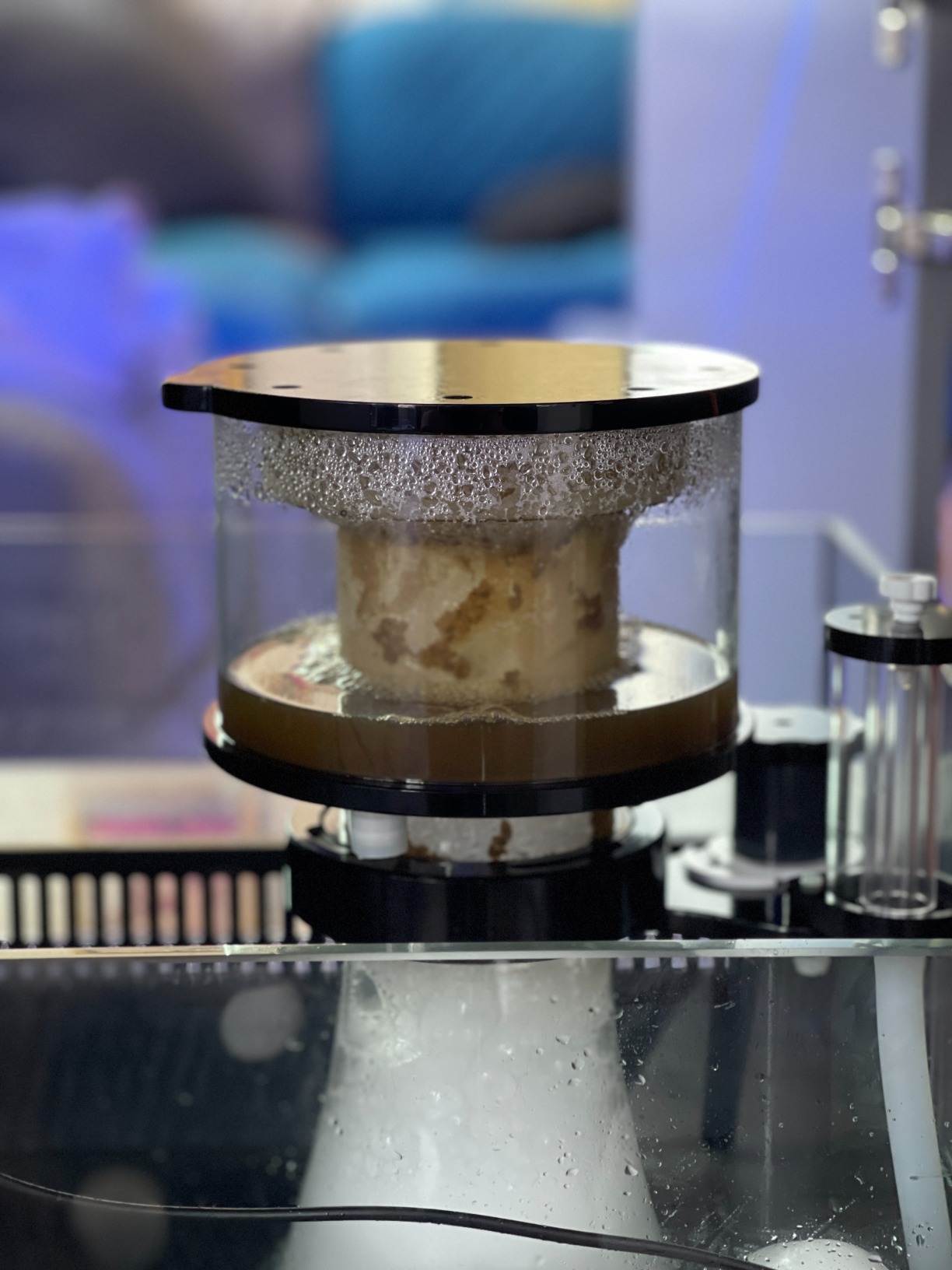 Simplicity 240DC Protein Skimmer for Saltwater Aquariums customer photo 1