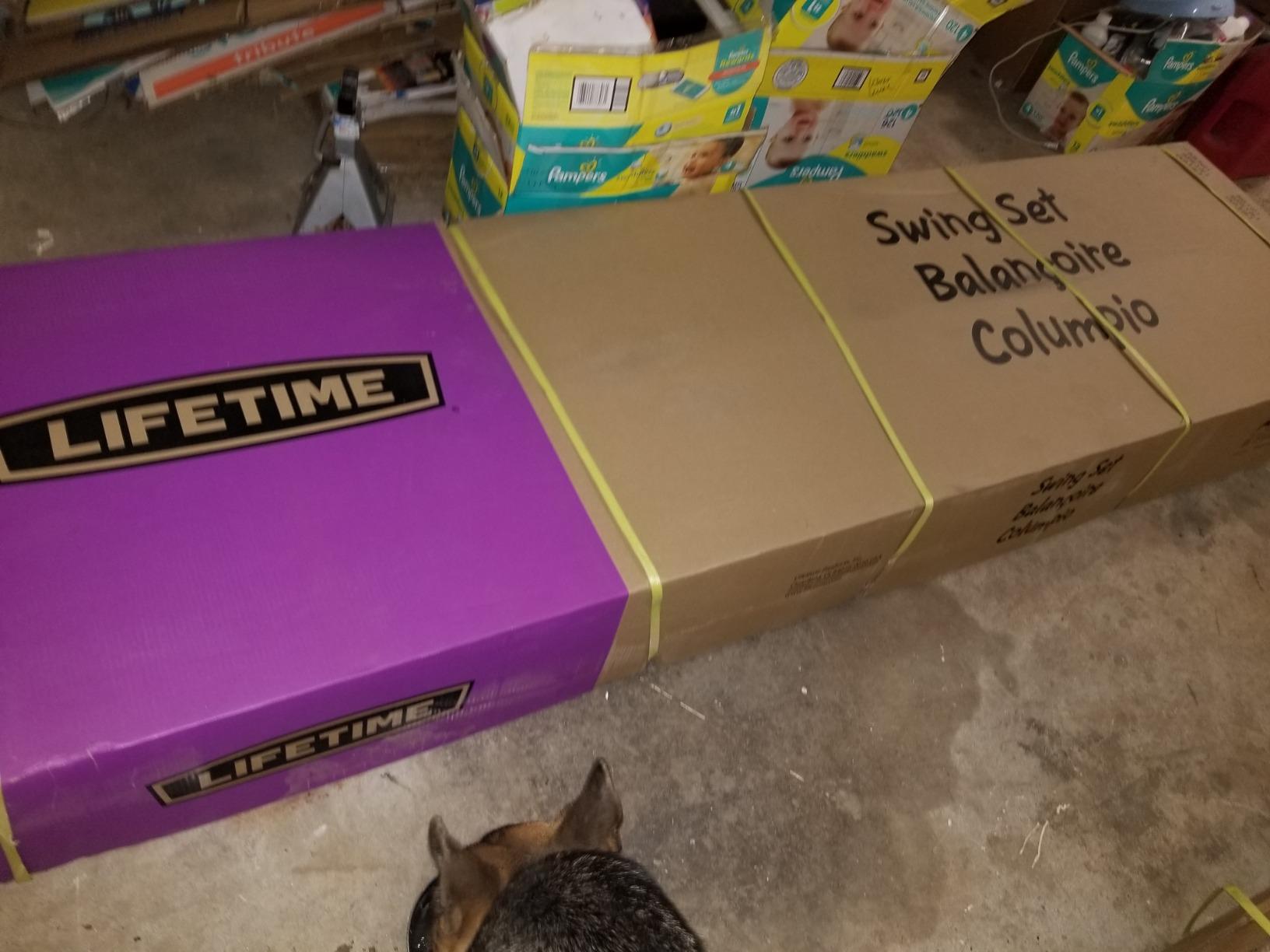 Lifetime 90630 Adventure Tower Deluxe Swing Set, Green, Steel and Polyethylene Construction customer photo 1