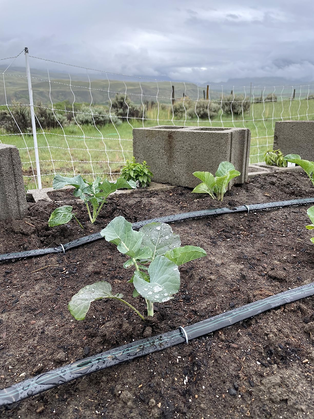 Drip Irrigation Kit for Small Farms - Deluxe customer photo 1