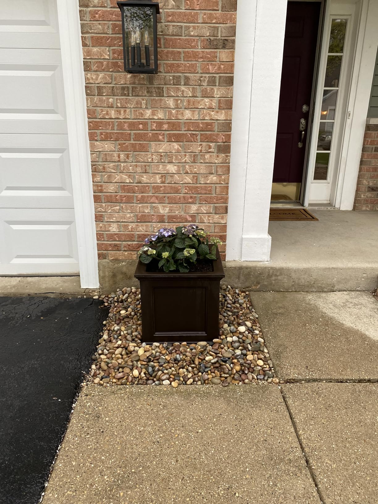 Mayne Fairfield 20-Inch Square Planter - Self-Watering, Weather-Resistant Planter for Flowers - Espresso customer photo 1