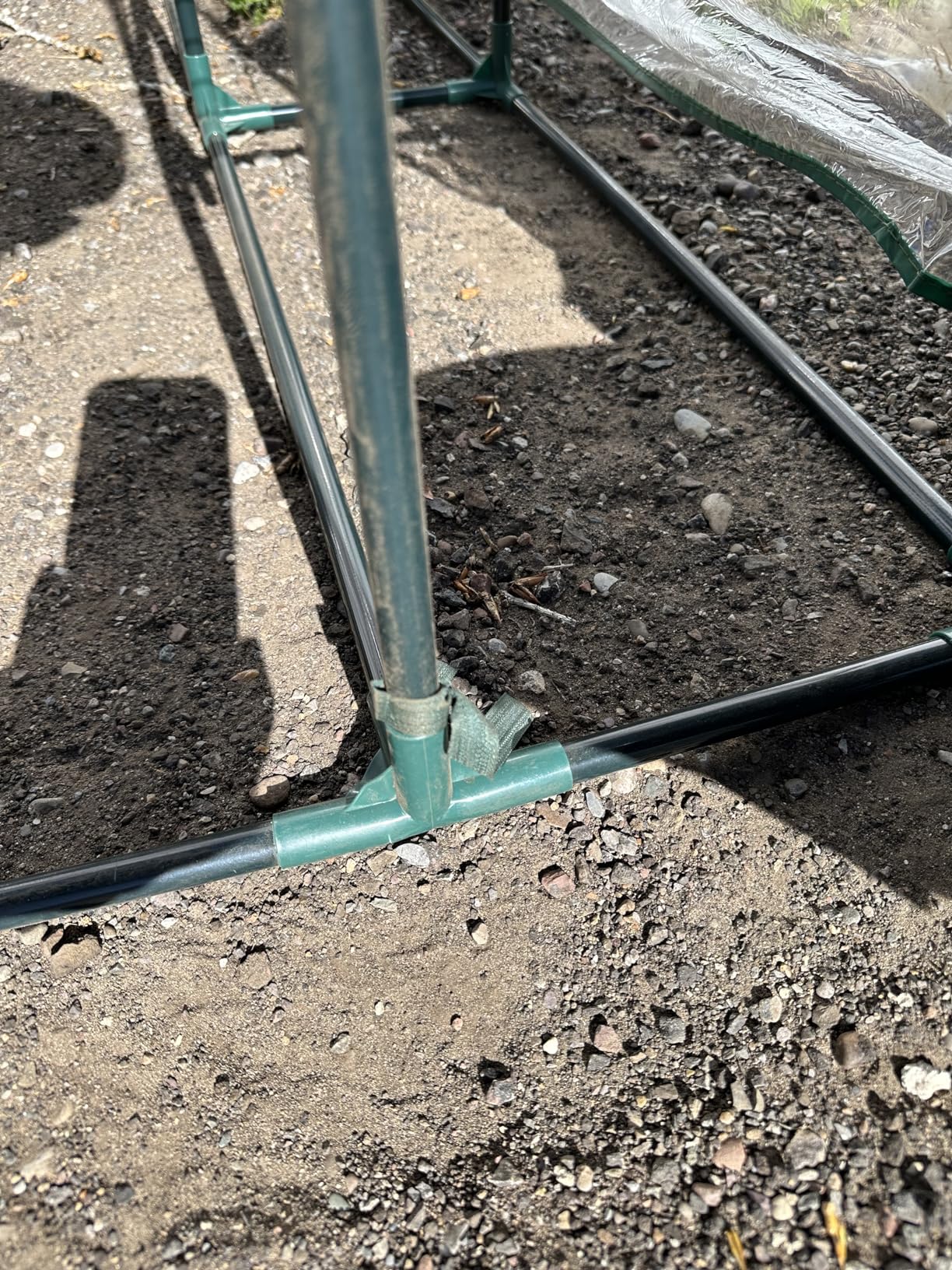 Greenhouse - Walk in Greenhouse with 8 Sturdy Shelves and PVC Cover for Indoor or Outdoor Use - 56 x 56 x 76-Inch Green House by Pure Garden customer photo 2