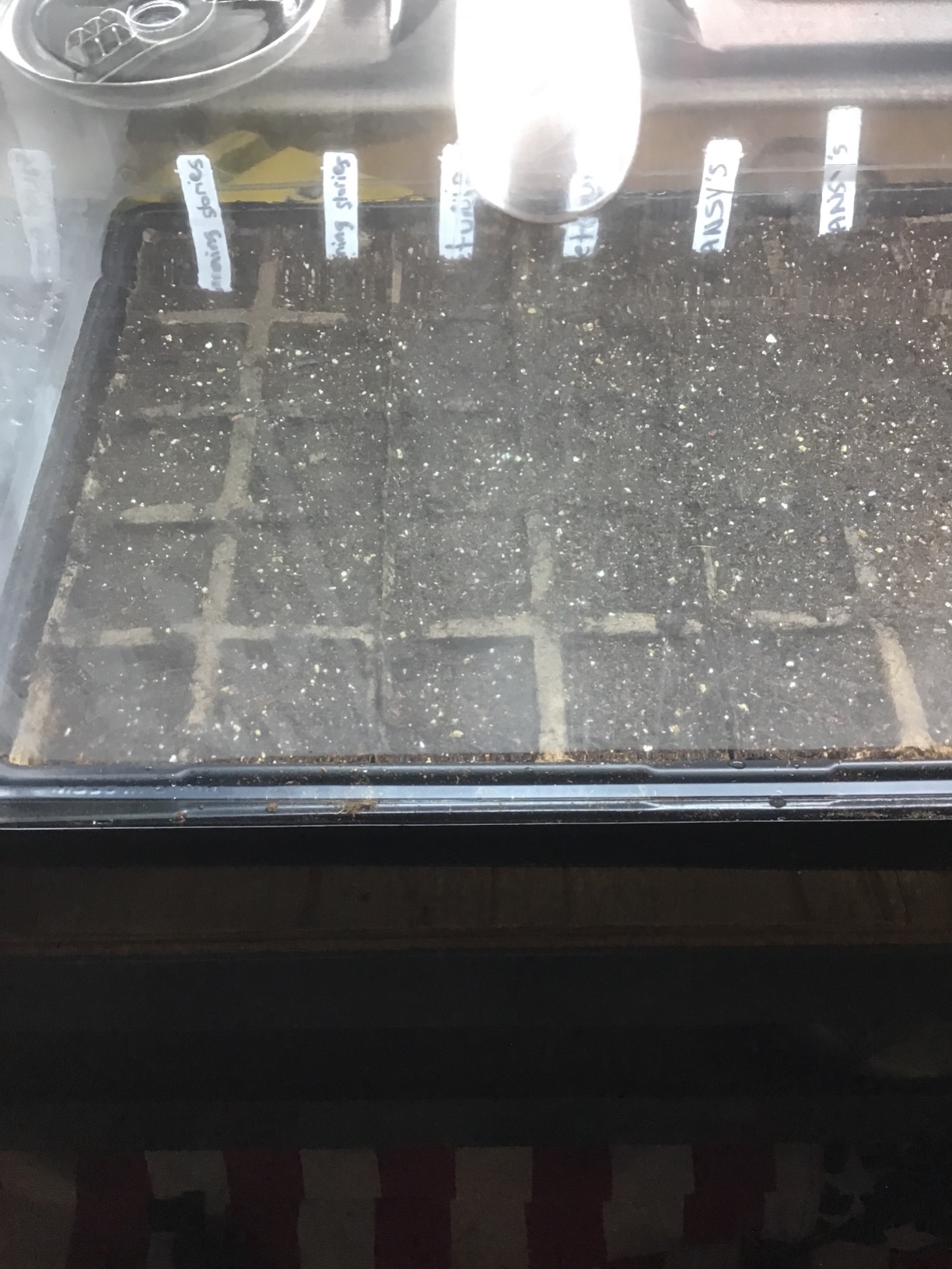 Super Sprouter Premium Heated Propagation Kit for Starting Seeds or Cuttings, Includes Heat Mat, Tray, Grow Light, and More customer photo 2