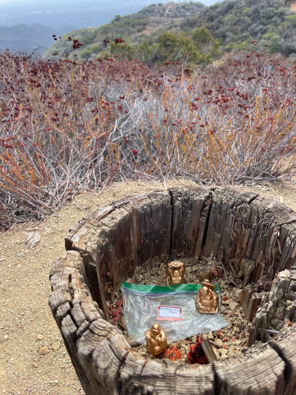 Brass Statu BRABUD 1'' Gold Laughing Buddha Figurines Collection Gift Home Office Desk Decor Flower Pot Statue Decoration Set of 6 customer photo 2