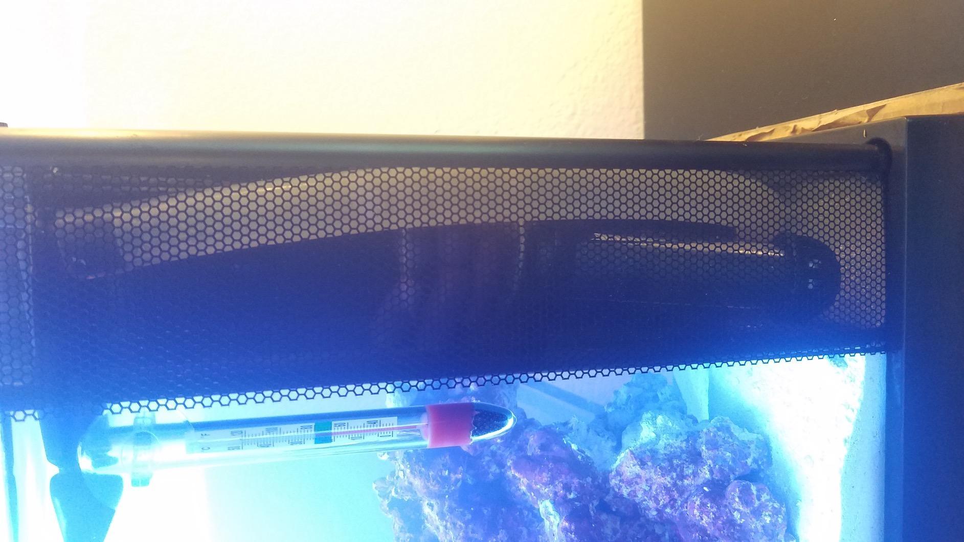 Fluval Sea Evo V Saltwater Fish Tank Aquarium Kit, Black, 5 gal, 10528A1 customer photo 1