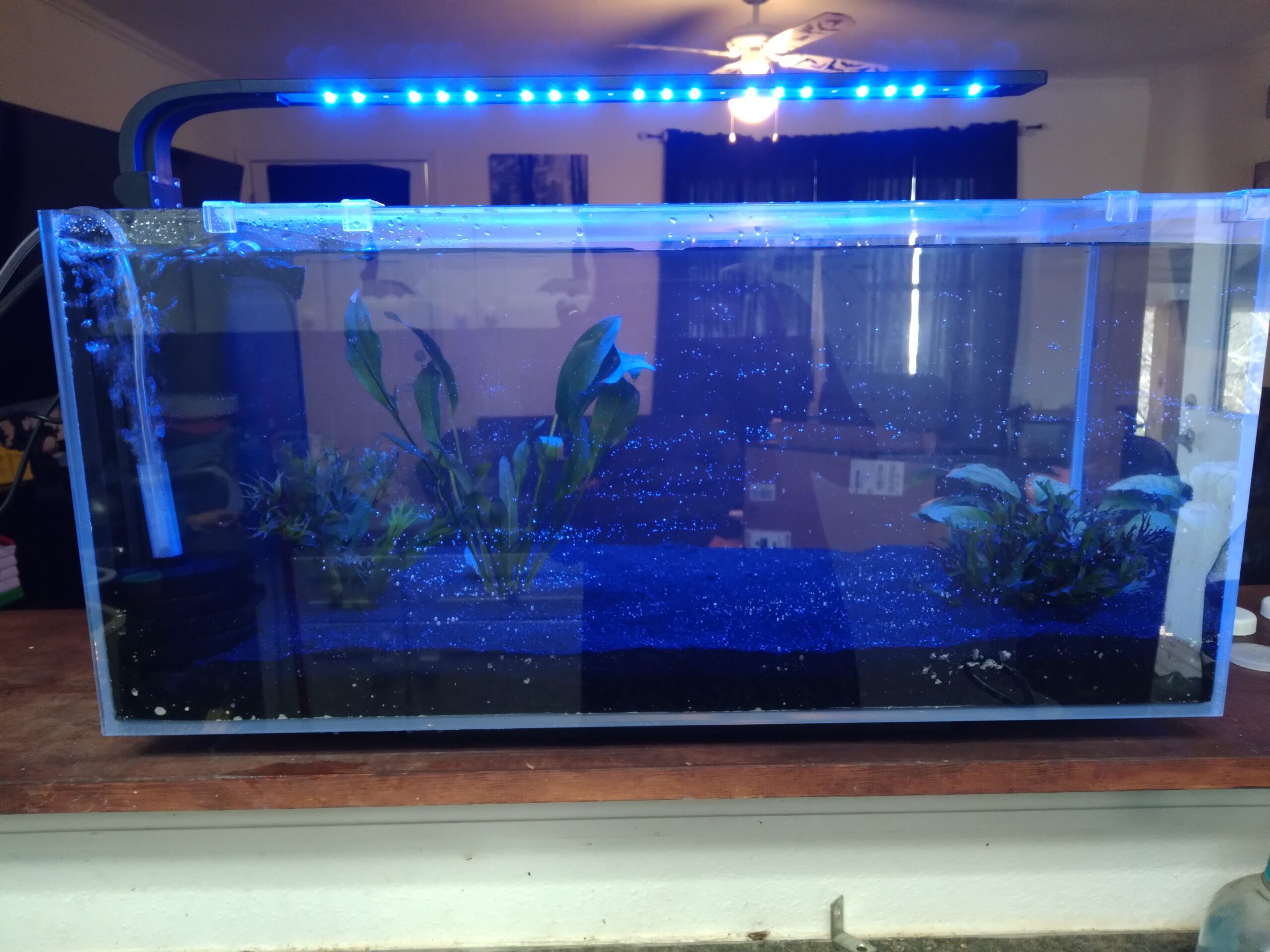 JBJ Rimless Desktop 10 gallon Flat Panel Peninsula with 9W Lyra LED customer photo 1