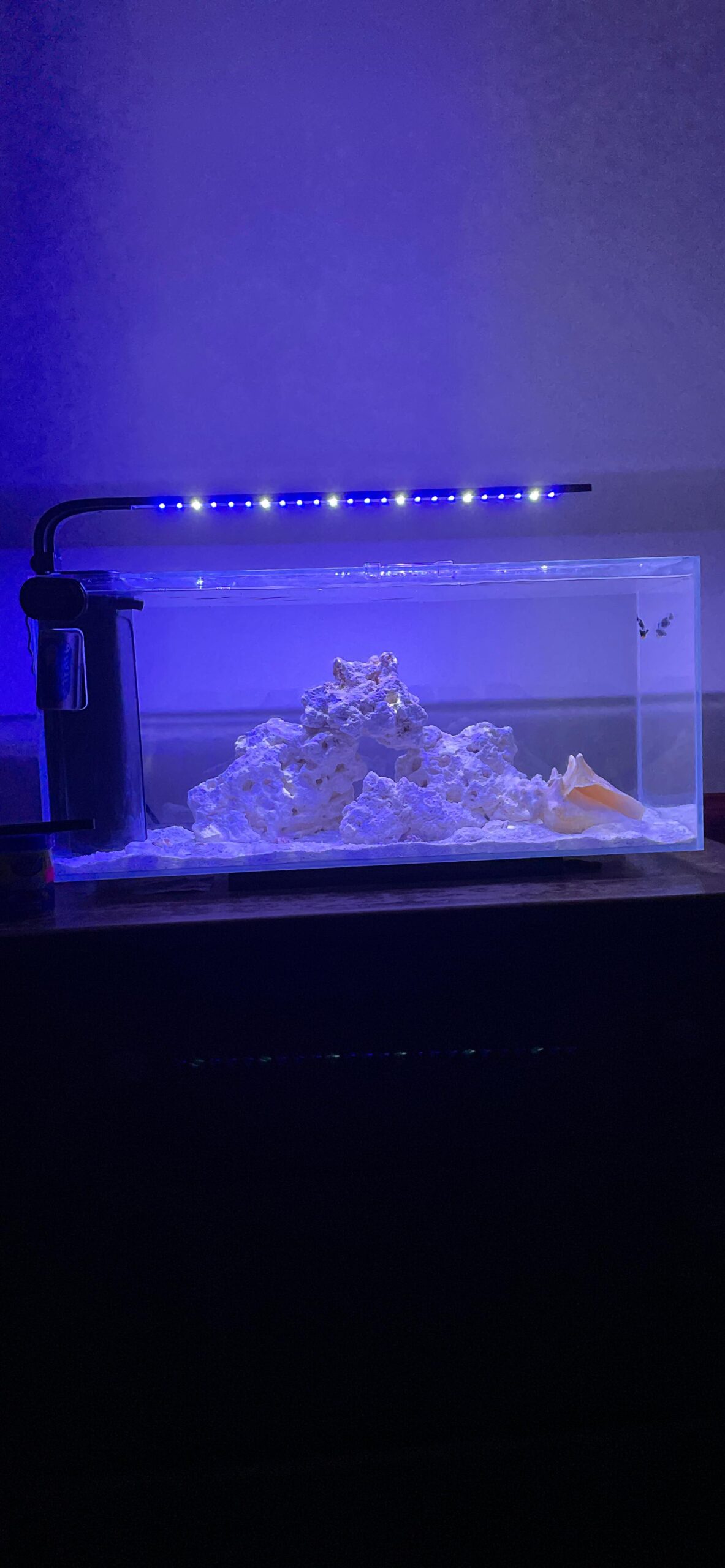 JBJ Rimless Desktop 10 gallon Flat Panel Peninsula with 9W Lyra LED customer photo 2