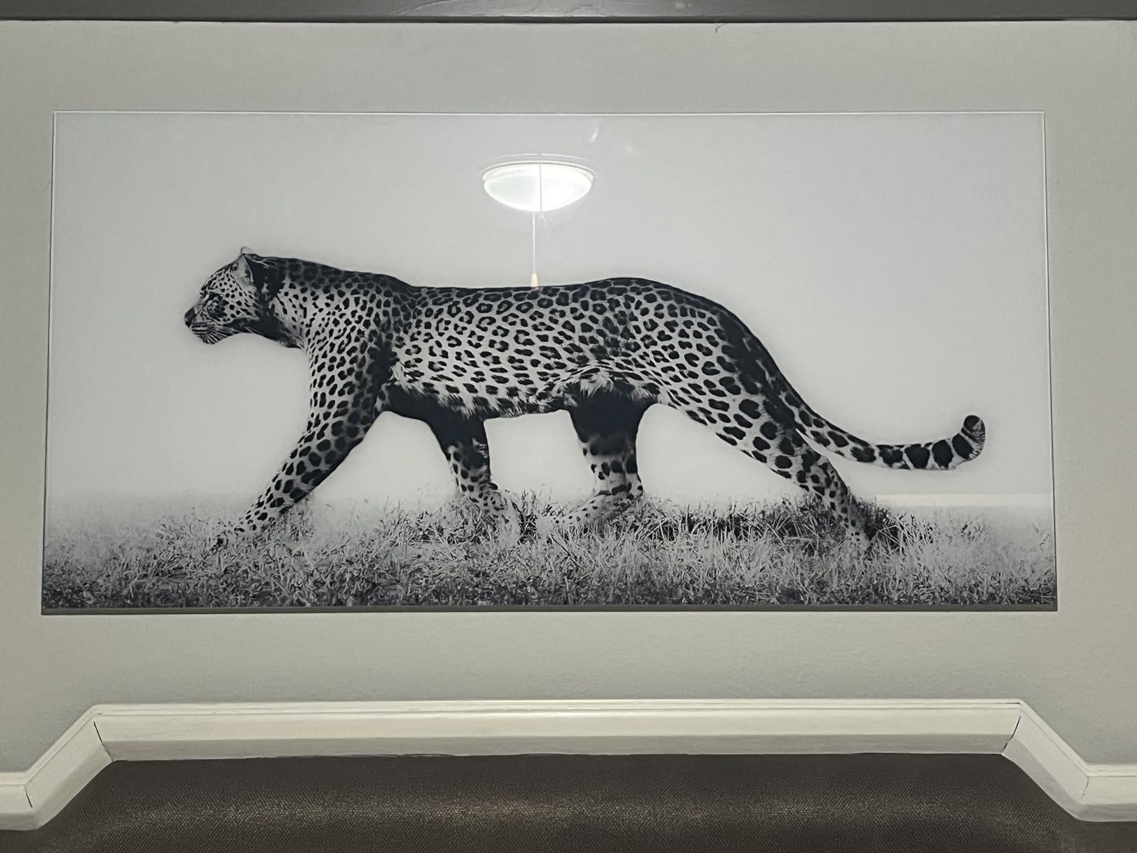 Empire Art Direct TMP-EAD3674-2448 Fearless 1 Frameless Tempered Glass Leopard Wall Art Ready to Hang, 24