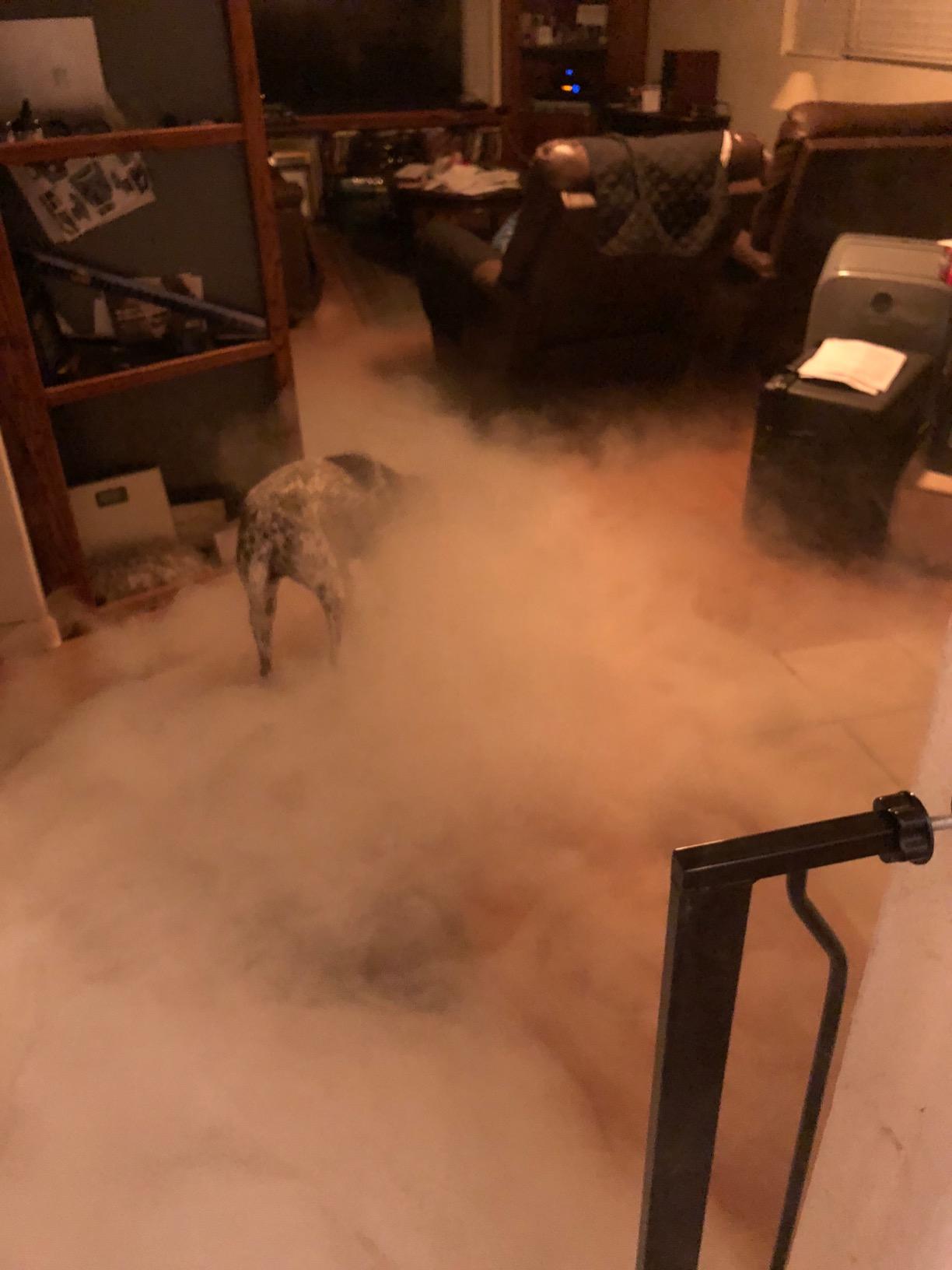 ADJ Products MISTER-KOOL-II Grave Yard Low Lying Water Based Fog Machine customer photo 1