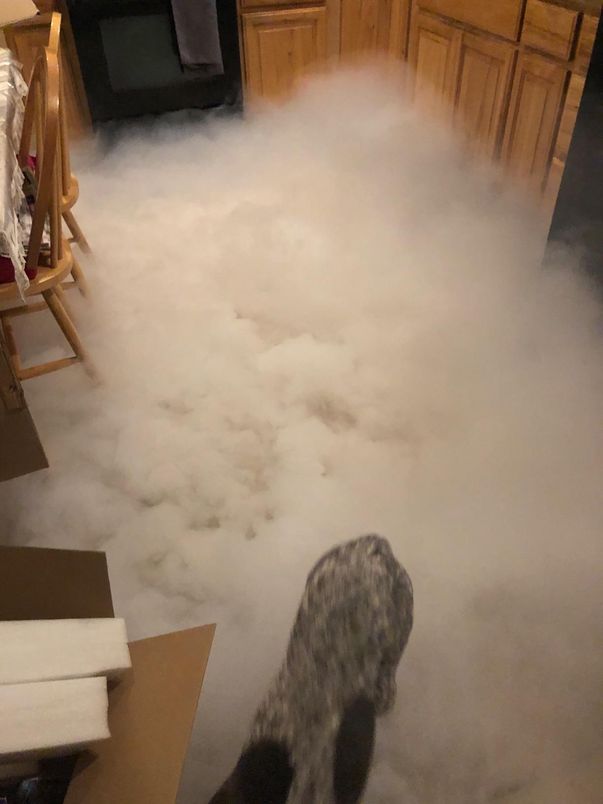 ADJ Products MISTER-KOOL-II Grave Yard Low Lying Water Based Fog Machine customer photo 2