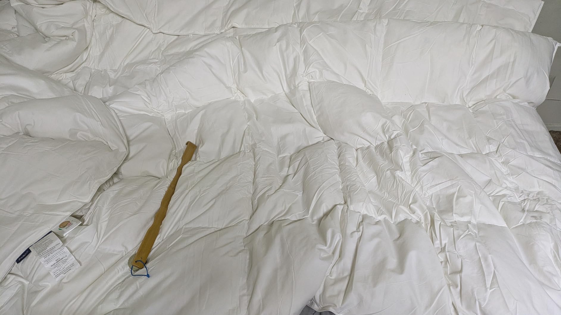 Globon Winter White Goose Down Comforter King Size, Down Duvet Insert, 800 Fill Power, 420 Thread Count, Ultra Soft Noiseless Shell with Corner Tabs, White customer photo 1