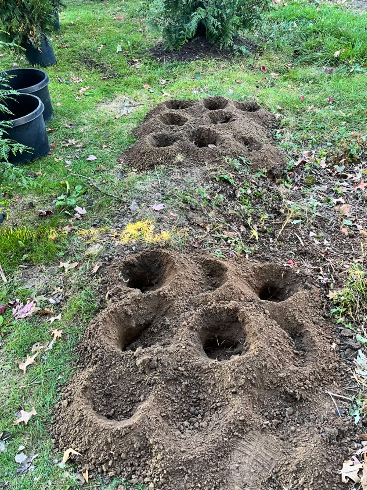 PROYAMA 54cc Post Hole Digger Gas Powered 2 Cycle Earth Auger, 5-Year Warranty Gear Box, 4 Drill Bits 4