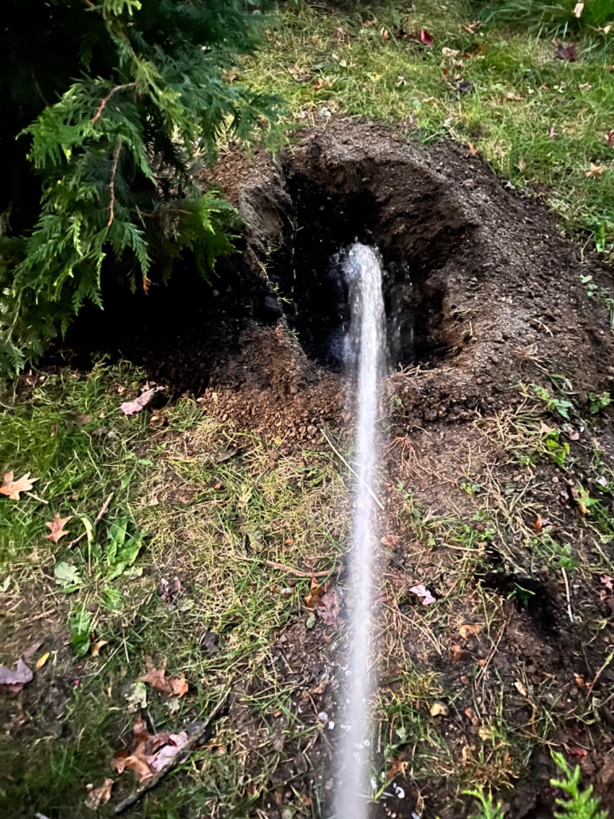 PROYAMA 54cc Post Hole Digger Gas Powered 2 Cycle Earth Auger, 5-Year Warranty Gear Box, 4 Drill Bits 4