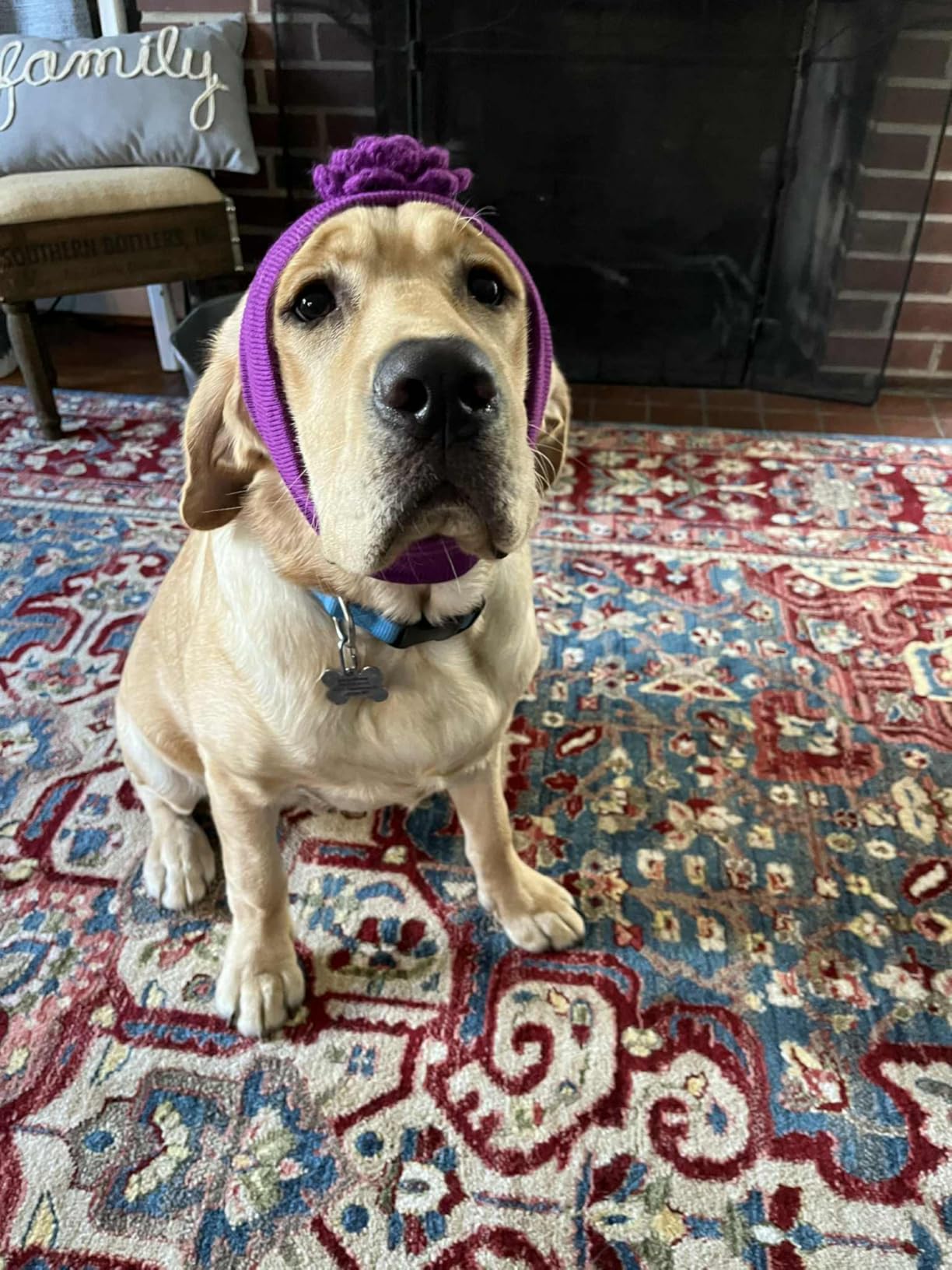 SAFAVIEH Area Rug 8x10 - Kashan Collection - Large - Blue & Red, Traditional Oriental Design customer photo 1